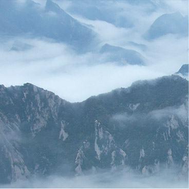 攻击网站服务器